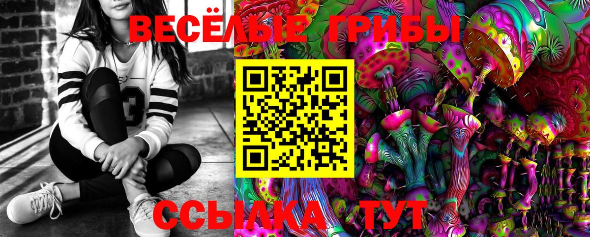 Псилоцибиновые грибы мухоморы  Вход с VPN  Ессентуки 