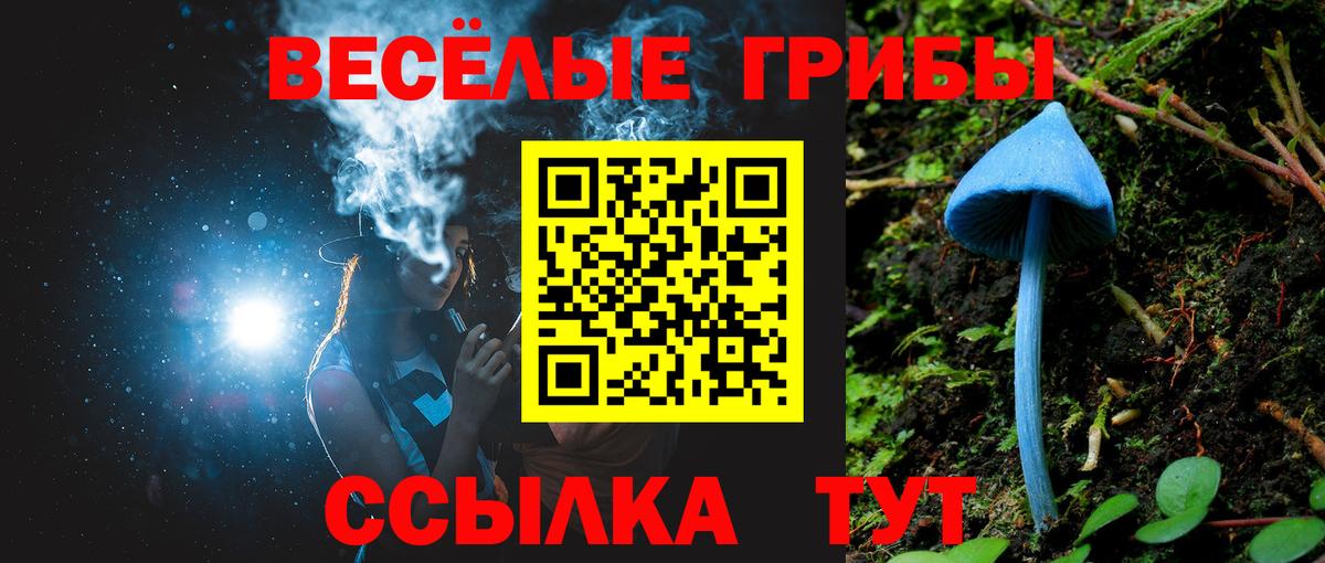 Галлюциногенные грибы Psilocybine cubensis Ессентуки